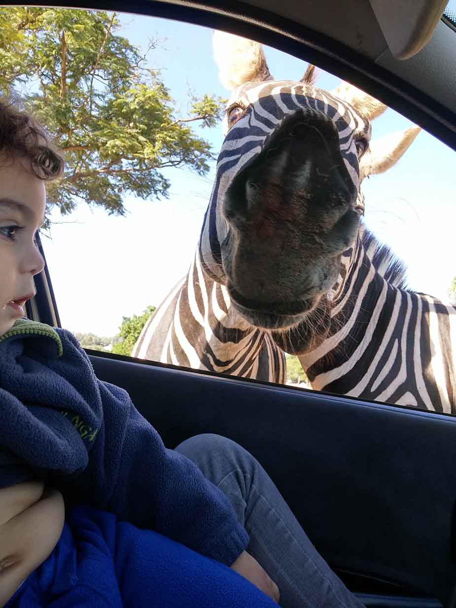 Ramat Gan Safaripark israel vakantie met kinderen