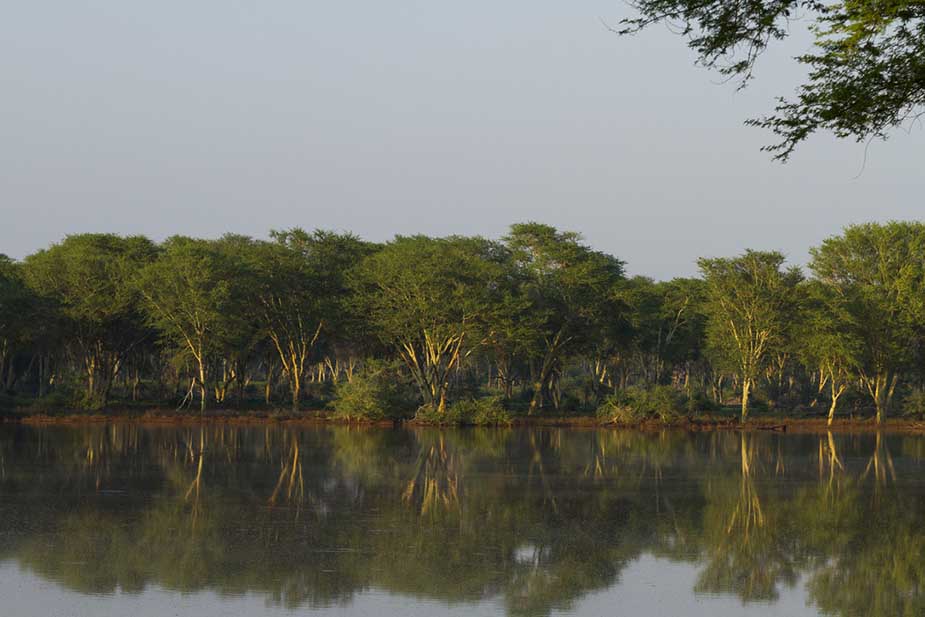 Rivier in Zuid-Afrika