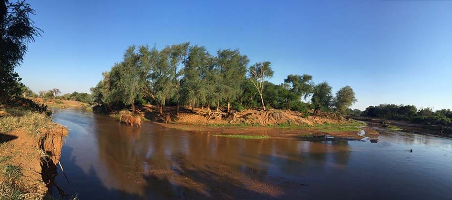 Rivier met olifanten in Kruger Park