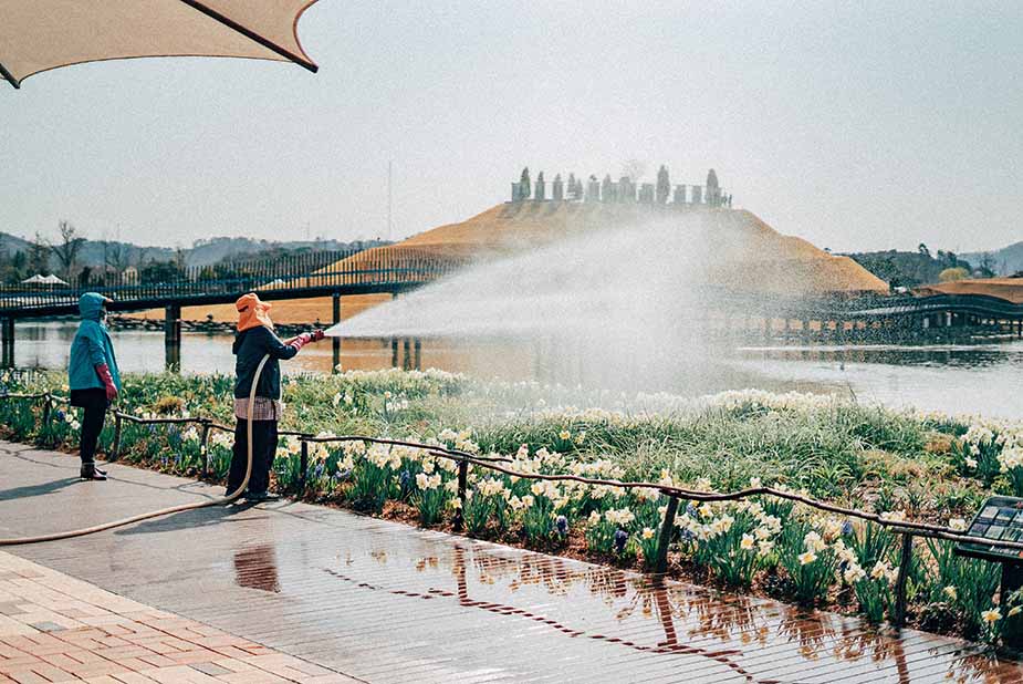 Suncheon Bay Wetlands