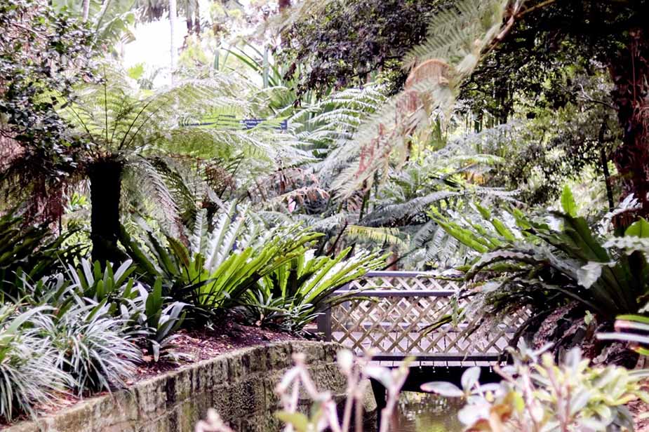 botanische tuin sydney