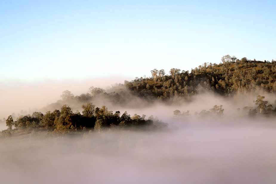 Barrington Tops