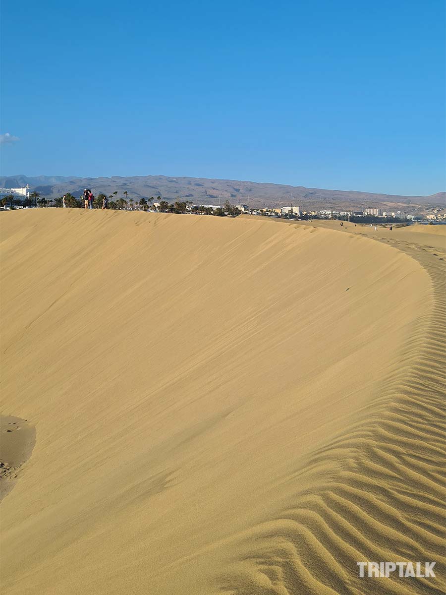 Een kam van de vele duinen in Dunas de Maspalomas