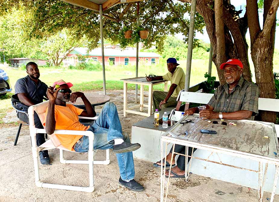 guaveboomgaard vakantie naar barbados