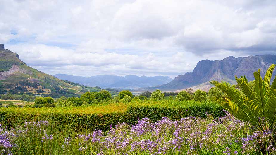 stellenbosch kaapstad