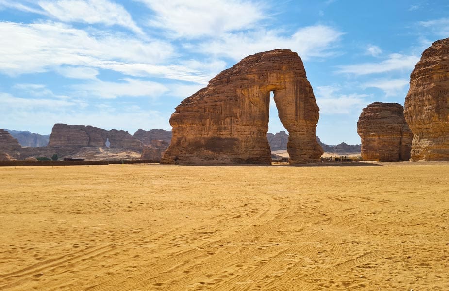 De bijzonder olifantenrots in Saoedi Arabie