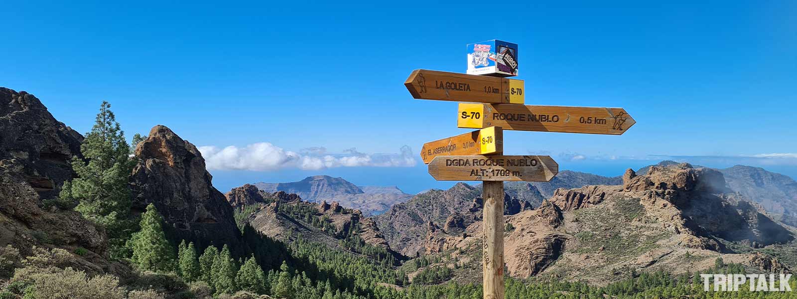 De natuur tijdens wandelen gran canaria