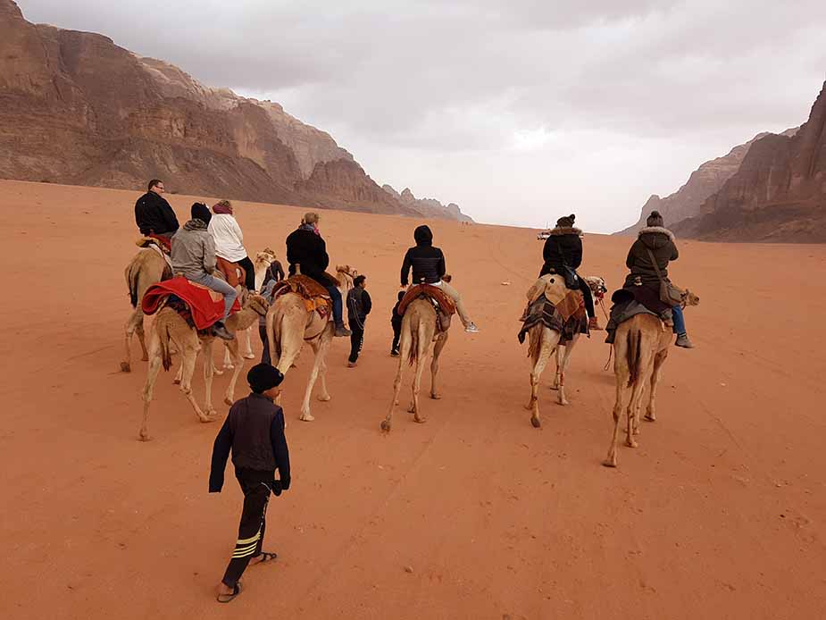 kameel wadi rum jordanië 