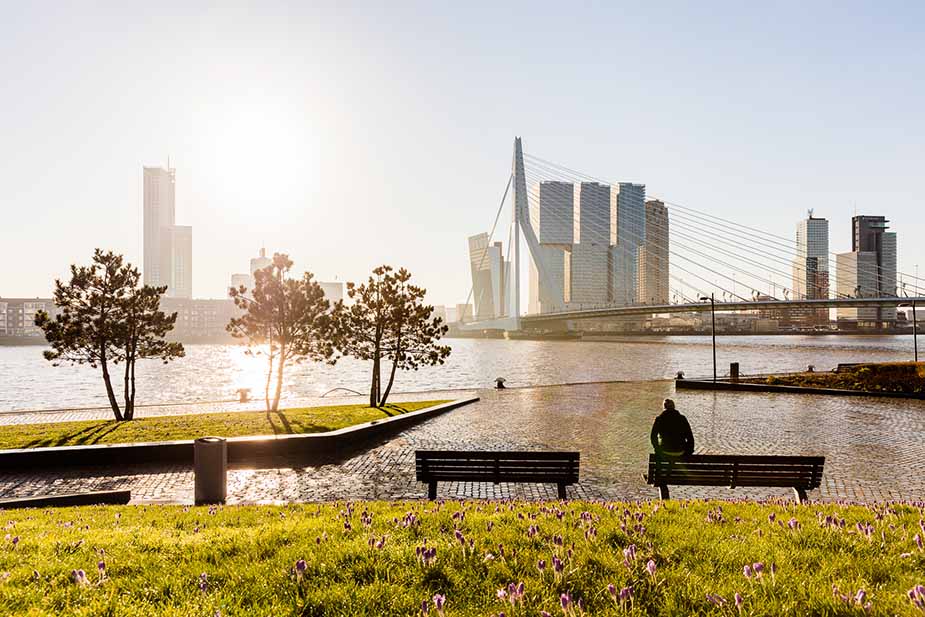 skyline rotterdam