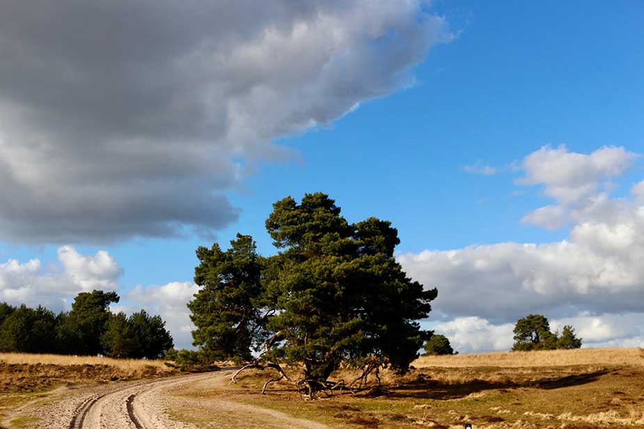 veluwe nederland vakantie