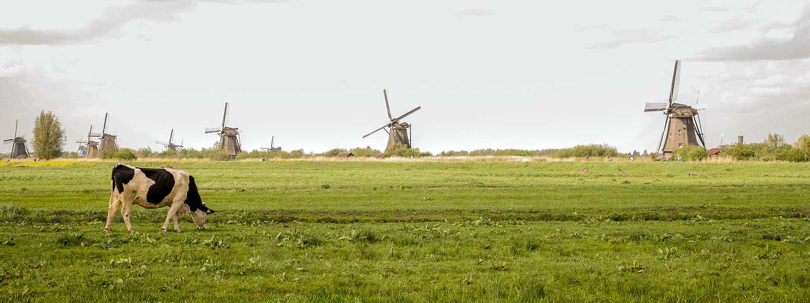 slapen bij een boer in Nederland