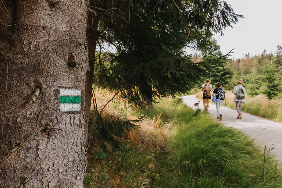 Boheemse Woud wandelingen in de Tsjechische natuur