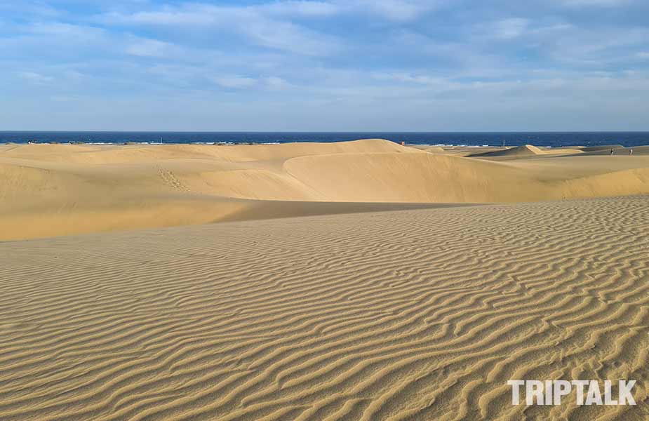 Duinen bij Maspalomas Gran Canaria vakantie