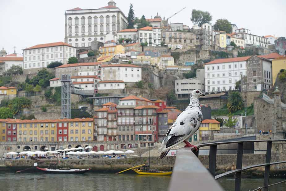 porto portugal