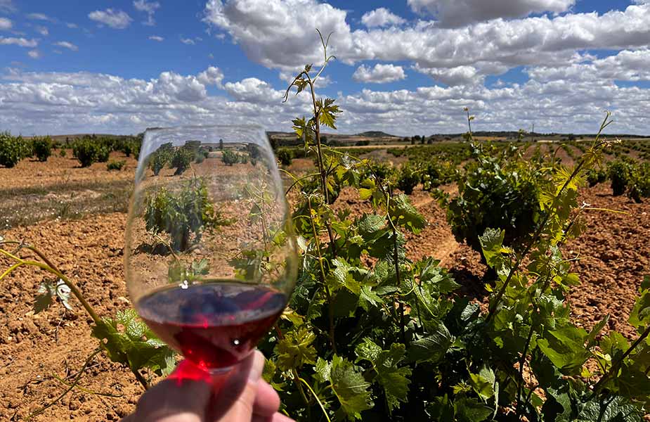 Proeven van rode wijn in Castilie en Leon