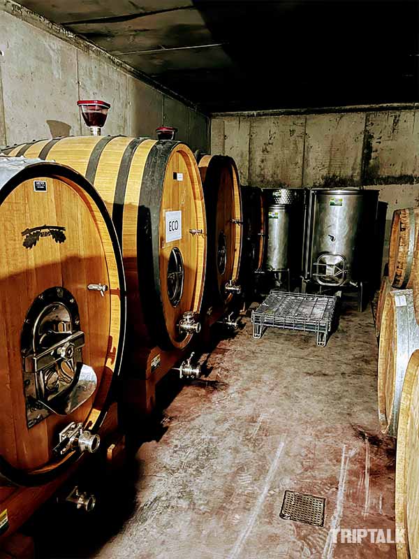Wijnkelder van bodega Fontio