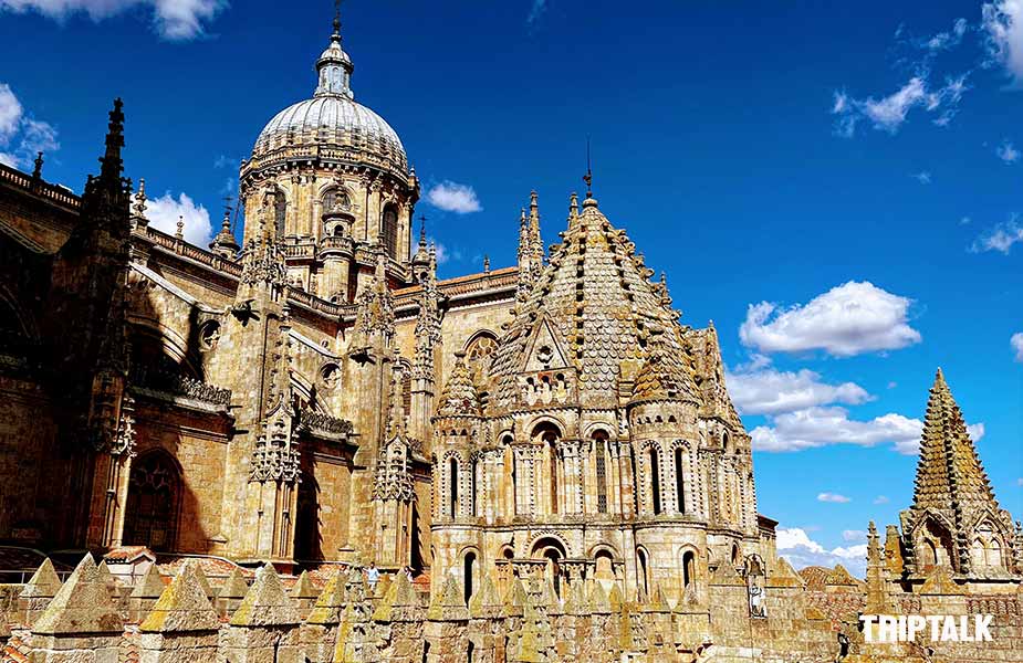 De kathedraal van Salamanca