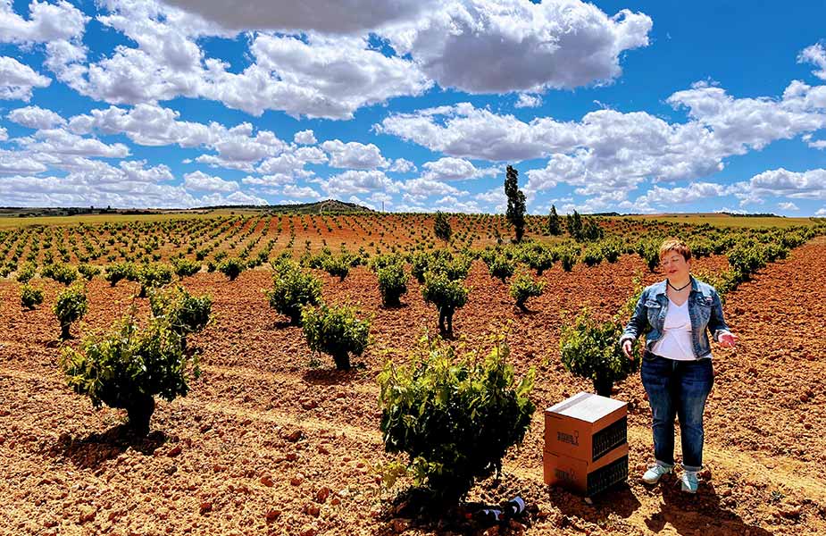 De wijngaard van Vinos del Cenit