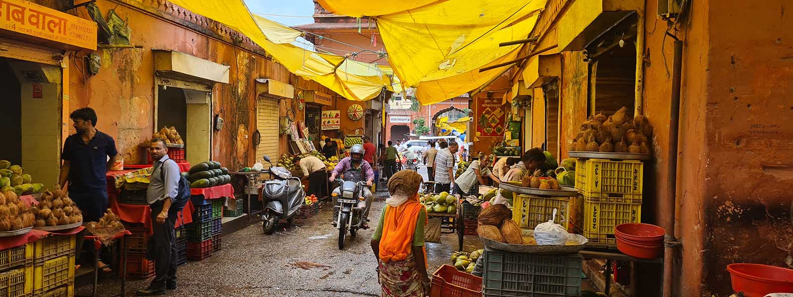 rondreis door Noord-India