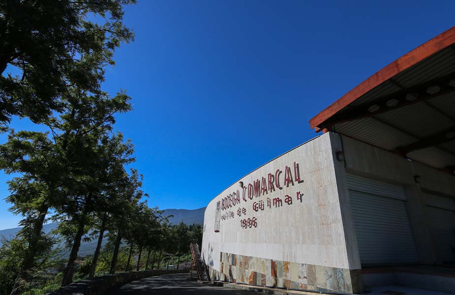 Wijnhuis Bodega Comarcal op Tenerife