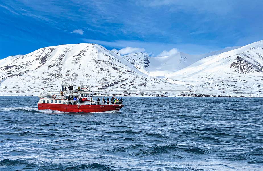 Walvissen spotten tijdens je vakantie Noord-IJsland