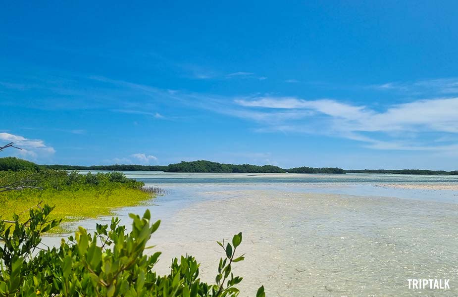 Het idyllisch eilandje Cabo Catoche bij Isla Holbox