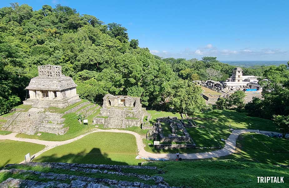 Een mooi uitzicht op de Maya tempels bij Palenque in Mexico