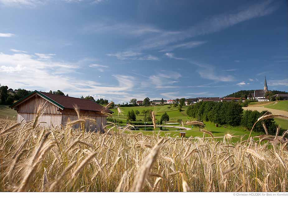 Ein Bett im Kornfeld