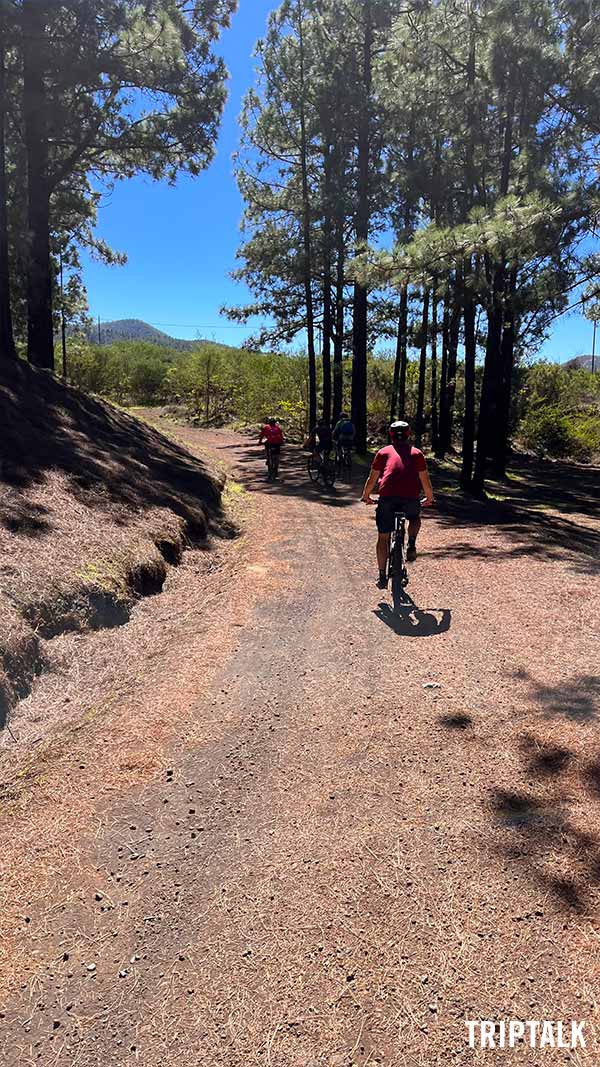 Mountainbiken door de bossen op Tenerife