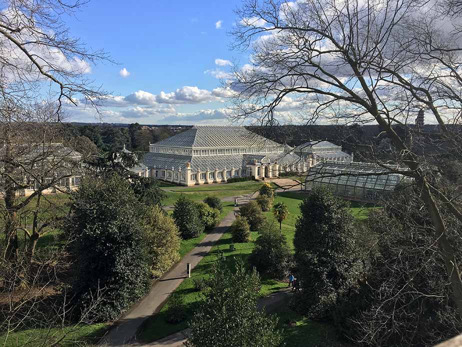 Kew Gardens, bezoek de garden tijdens je reis naar Londen