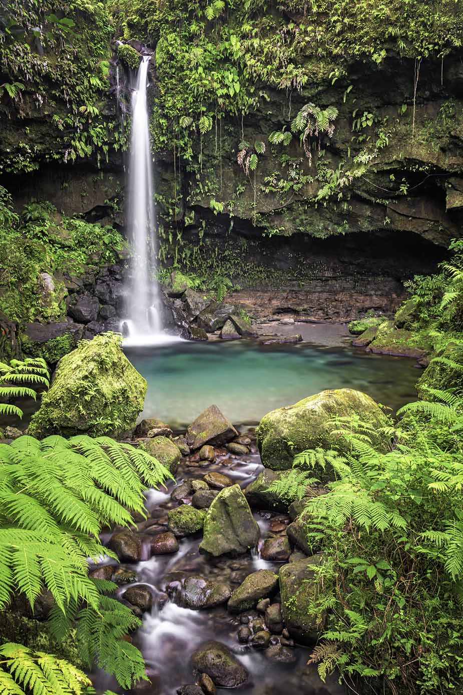 Prachtige natuur op Dominica