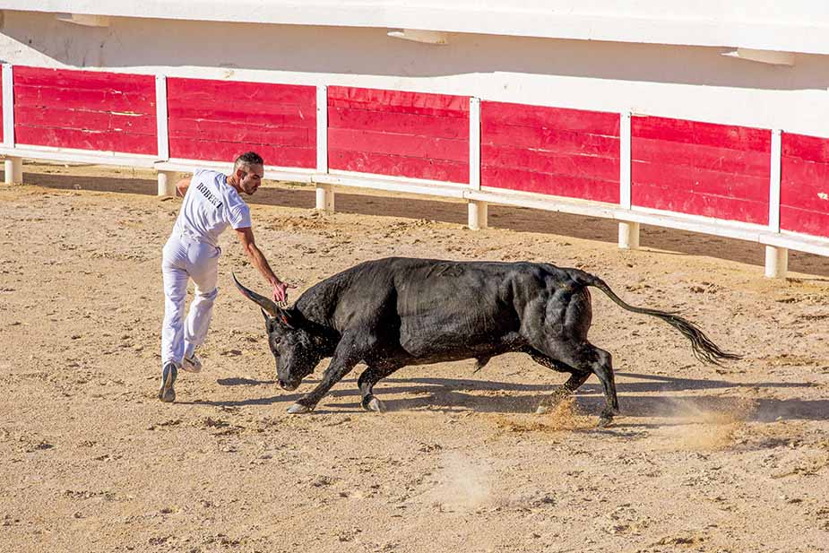 Torero in Saintes-Maries-de-la-Mer