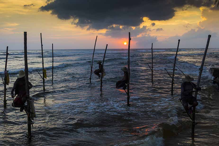 Steltvissers op Sri Lanka