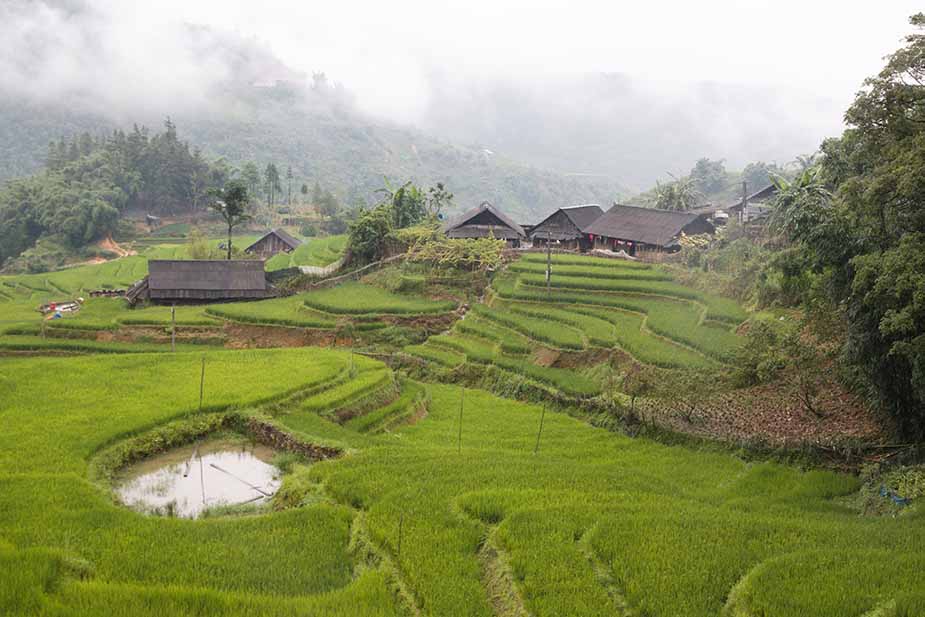 Een Sapa trekking door Vietnam