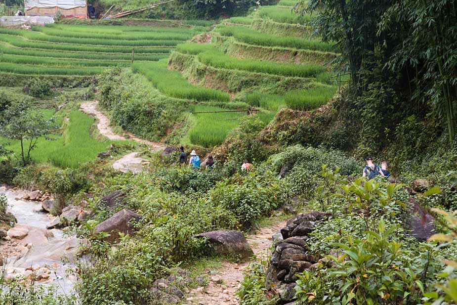 Een Sapa trekking tijdens het reizen door het noorden van Vietnam