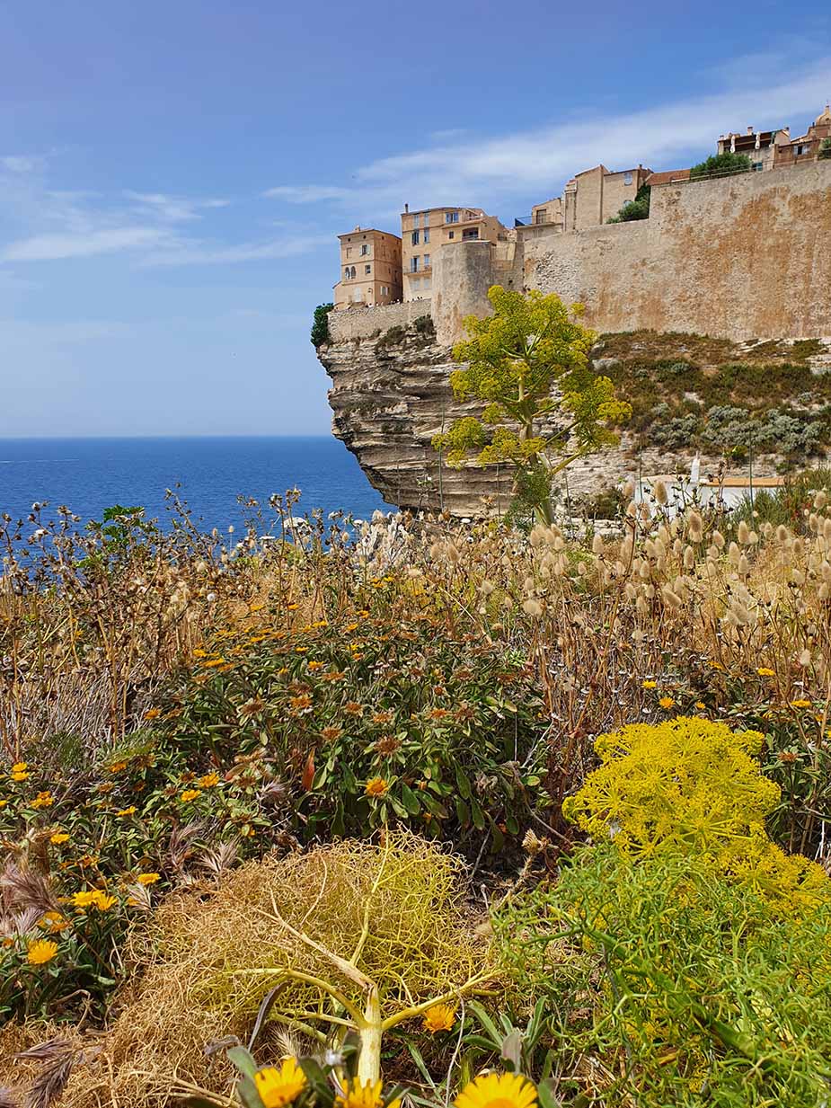 Bonifacio op de rotsen op Corsica