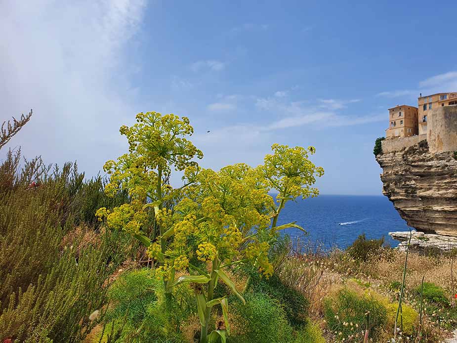 Bonifacio op Corsica