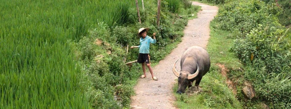 Reizen door Vietnam