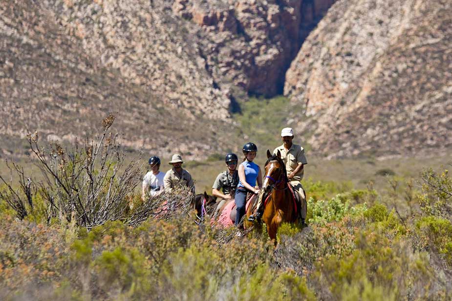 Wat te doen in Zuid-Afrika? Volg de Karoo Erdvark route