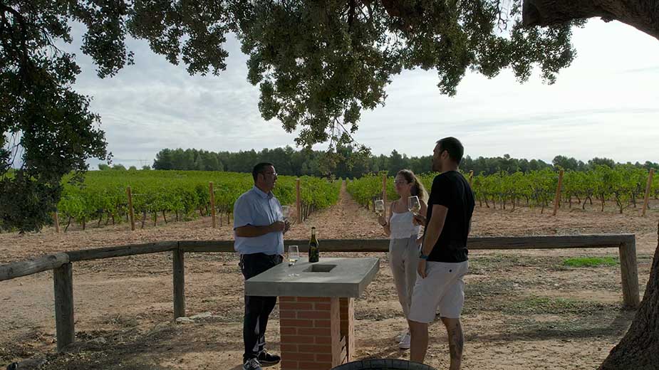 Wijn proeven op de Ruta Vino Requena