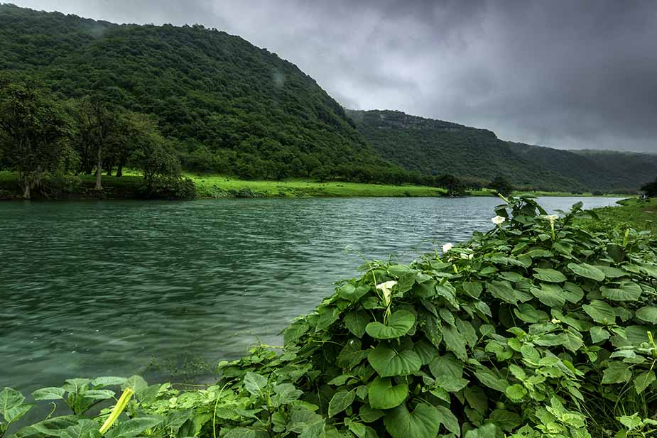 Khareef Season in Oman