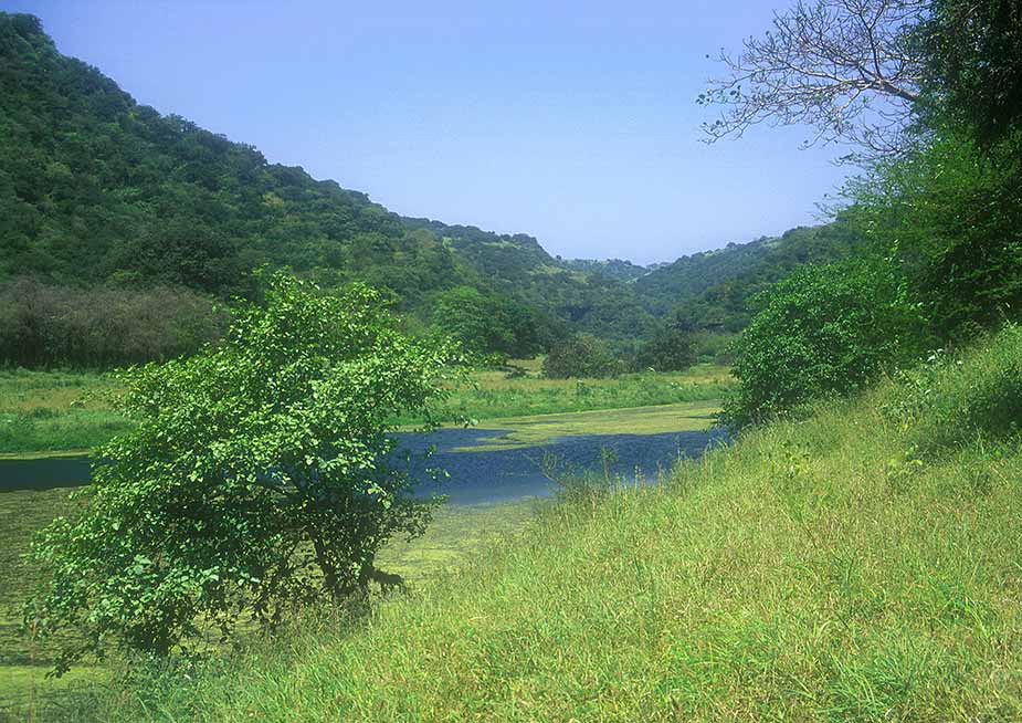 Wadi Darbat