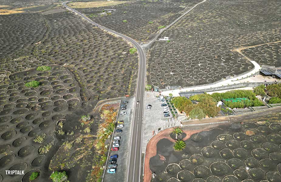 De wijnstreek La Geria op Lanzarote