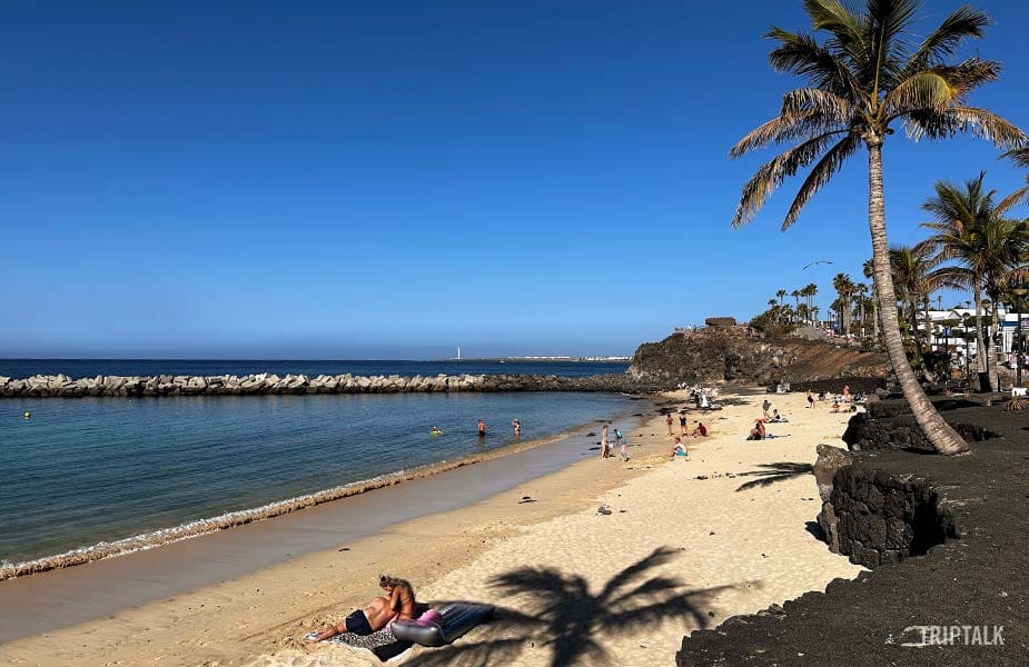 Palmbomen bij het strand van Playa Flamingo