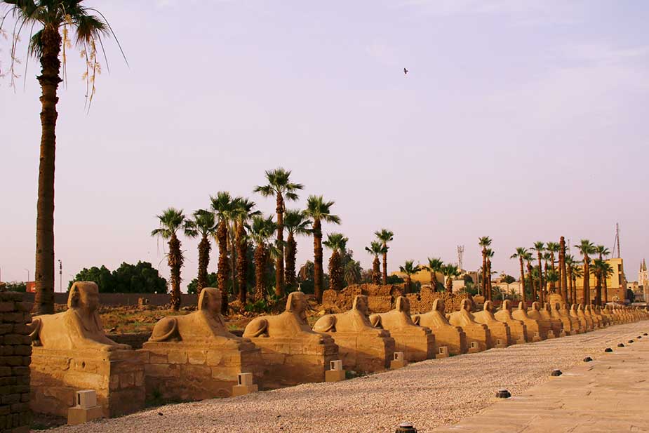 Avenue of Sphinxes