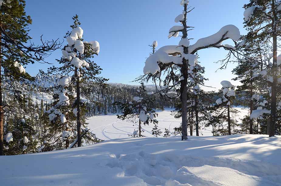 Het landschap van Fins Lapland tijdens de winter
