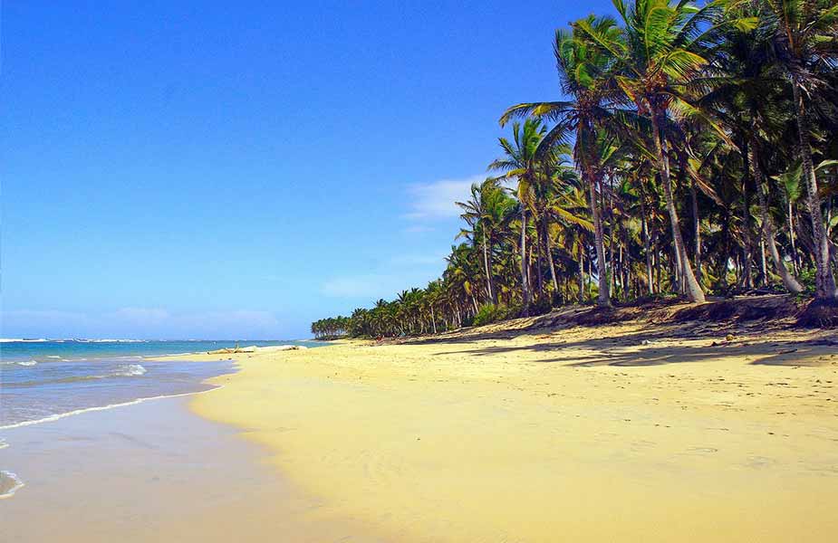Strand Punta Cana Dominicaanse Republiek