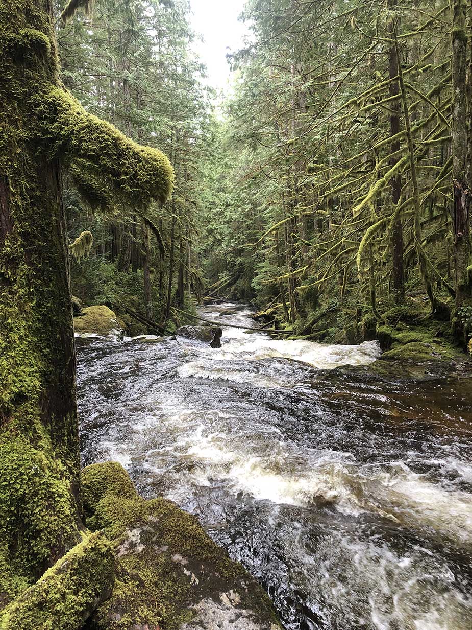 Sunshine Coast Trail in British Columbia