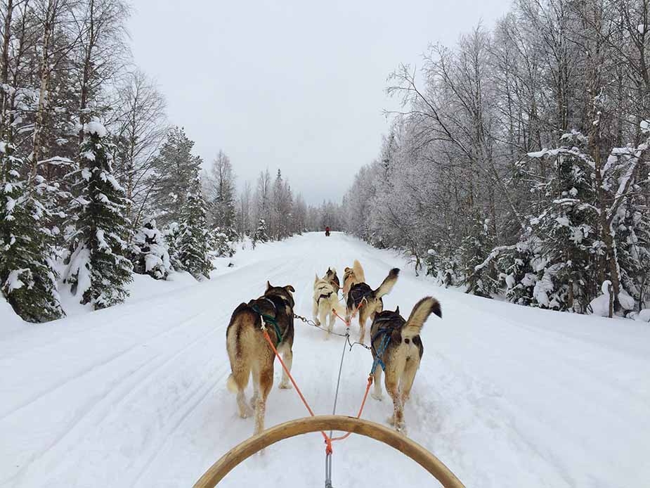 Achter de huskys 