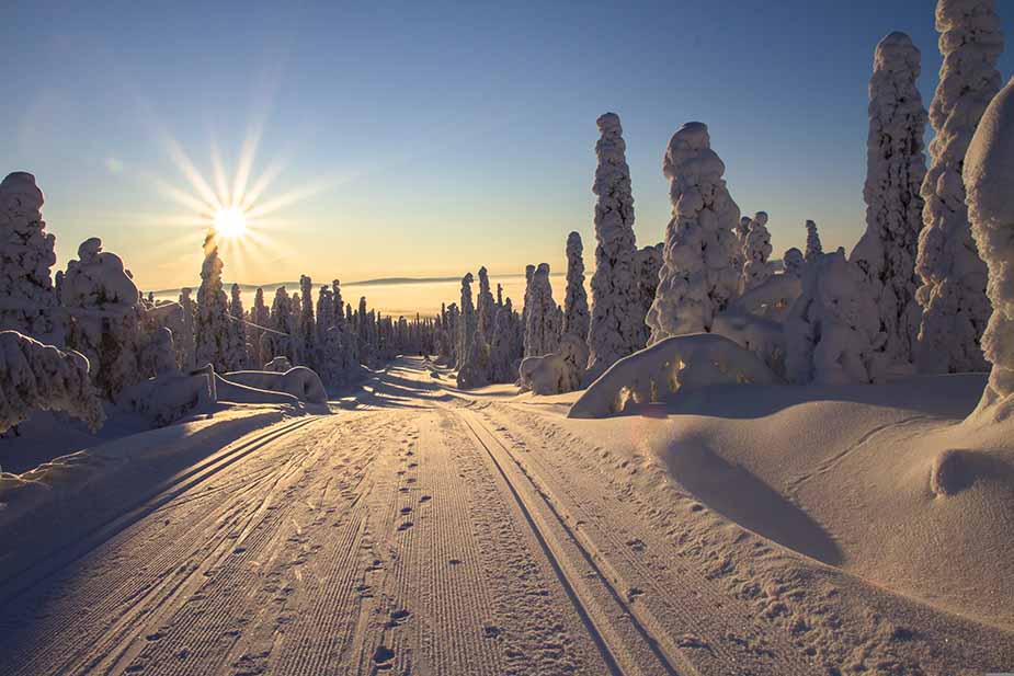 Het landschap van Fins lapland tijdens de winter
